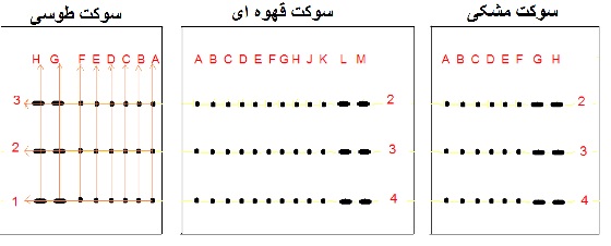 شکل سوکت ساژم